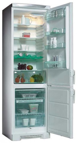 Refrigerator Electrolux ERB 4119 larawan, katangian