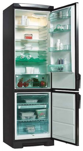 Tủ lạnh Electrolux ERB 4119 X ảnh, đặc điểm