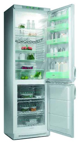 Refrigerator Electrolux ERB 8642 larawan, katangian