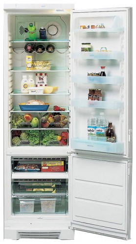 Refrigerator Electrolux ERE 3901 larawan, katangian