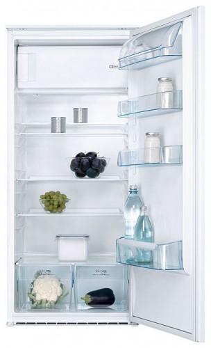 Buzdolabı Electrolux ERN 22500 fotoğraf, özellikleri