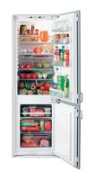 Refrigerator Electrolux ERN 2921 larawan, katangian