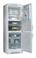 Refrigerator Electrolux ERZ 3100 larawan, katangian