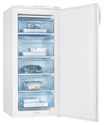Tủ lạnh Electrolux EUC 19002 W ảnh, đặc điểm