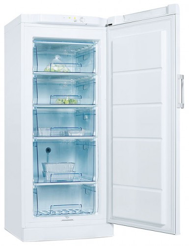 Refrigerator Electrolux EUC 19291 W larawan, katangian