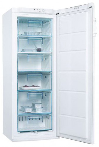 Refrigerator Electrolux EUC 25291 W larawan, katangian