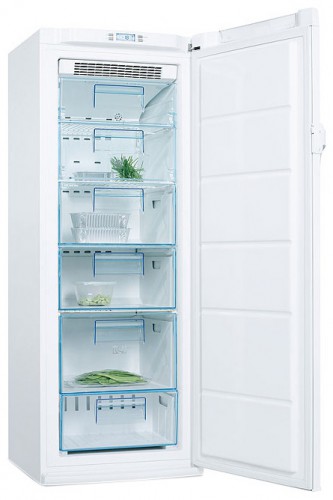 Холодильник Electrolux EUF 23391 W фото, Характеристики
