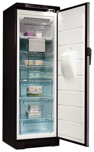 Refrigerator Electrolux EUFG 2900 X larawan, katangian