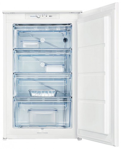 Buzdolabı Electrolux EUN 12510 fotoğraf, özellikleri