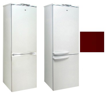Refrigerator Exqvisit 291-1-3005 larawan, katangian