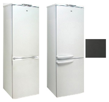 Холодильник Exqvisit 291-1-810,831 Фото, характеристики