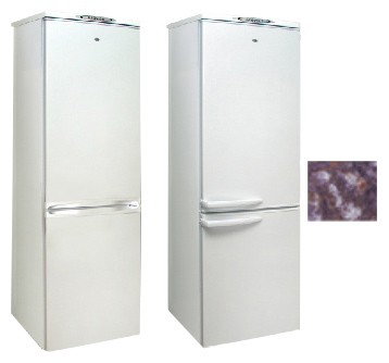 Buzdolabı Exqvisit 291-1-C5/1 fotoğraf, özellikleri