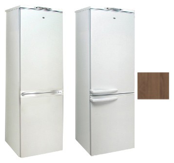 Холодильник Exqvisit 291-1-C6/1 Фото, характеристики