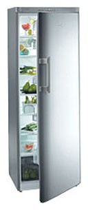 Kühlschrank Fagor 1FSC-19 XEL Foto, Charakteristik