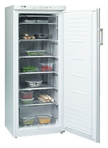 Kühlschrank Fagor 2CFV-18 E Foto, Charakteristik
