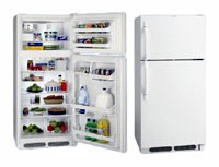 Tủ lạnh Frigidaire FGTG 16V6 A ảnh, đặc điểm