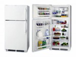 Ψυγείο Frigidaire FGTG 16V6 A 72.10x149.00x74.60 cm
