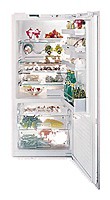 Холодильник Gaggenau IK 961-126 фото, Характеристики
