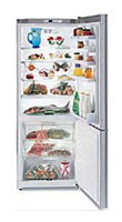 Buzdolabı Gaggenau RB 272-250 fotoğraf, özellikleri