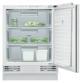 Kühlschrank Gaggenau RF 200-200 Foto, Charakteristik