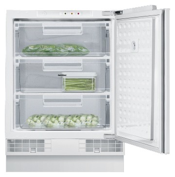 Refrigerator Gaggenau RF 200-202 larawan, katangian