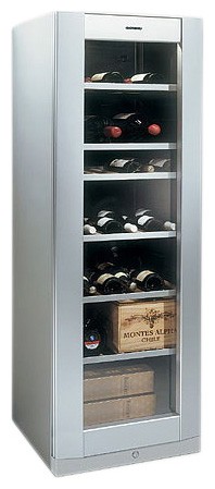 Refrigerator Gaggenau RW 262-270 larawan, katangian