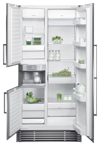 Buzdolabı Gaggenau RX 496-210 fotoğraf, özellikleri