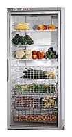Buzdolabı Gaggenau SK 210-140 fotoğraf, özellikleri