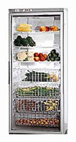 Buzdolabı Gaggenau SK 211-140 fotoğraf, özellikleri