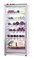 Tủ lạnh Gaggenau SK 211-141 ảnh, đặc điểm