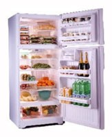 Tủ lạnh General Electric GTG16HBMSS ảnh, đặc điểm