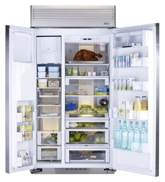 Tủ lạnh General Electric Monogram ZSEP420DYSS ảnh, đặc điểm