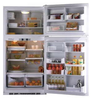 Холодильник General Electric PTE25SBTSS фото, Характеристики
