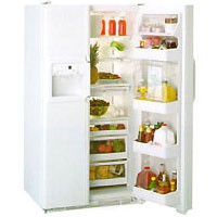 Холодильник General Electric TPG24BFBB фото, Характеристики