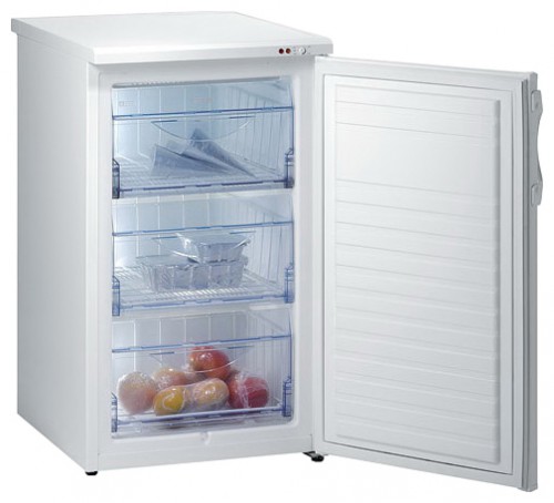 Refrigerator Gorenje F 50106 W larawan, katangian