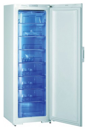 ตู้เย็น Gorenje F 60300 DW รูปถ่าย, ลักษณะเฉพาะ