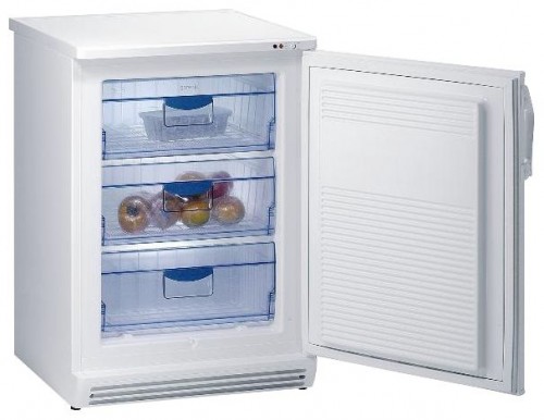 ตู้เย็น Gorenje F 6101 W รูปถ่าย, ลักษณะเฉพาะ