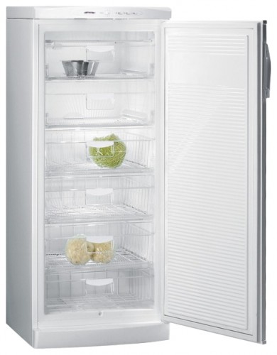 Buzdolabı Gorenje F 6248 W fotoğraf, özellikleri