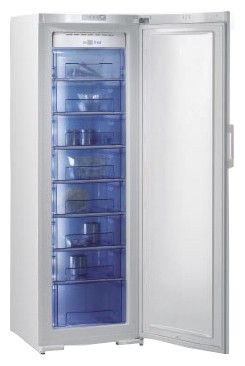 Refrigerator Gorenje FN 61230 DW larawan, katangian