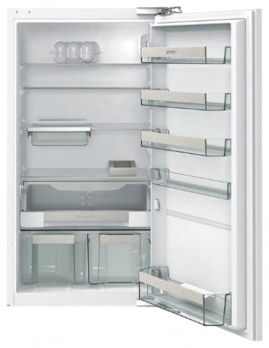 Buzdolabı Gorenje GDR 67102 F fotoğraf, özellikleri