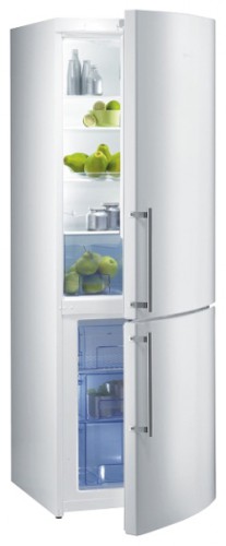Buzdolabı Gorenje NRK 60325 DW fotoğraf, özellikleri