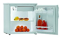 Холодильник Gorenje R 0907 BAC фото, Характеристики