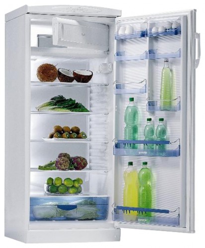 Tủ lạnh Gorenje RB 6288 W ảnh, đặc điểm