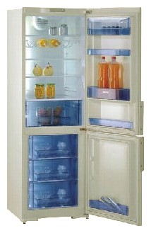 Refrigerator Gorenje RK 61341 C larawan, katangian