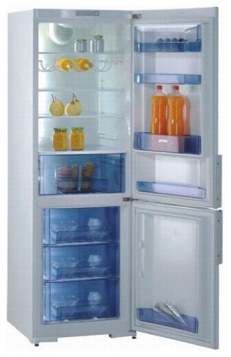 Refrigerator Gorenje RK 61341 W larawan, katangian