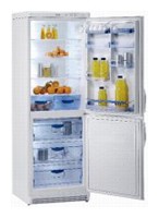Ψυγείο Gorenje RK 63343 W φωτογραφία, χαρακτηριστικά