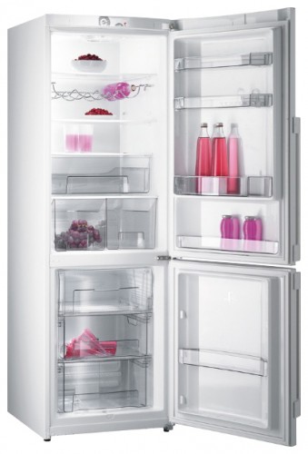 Buzdolabı Gorenje RK 65 SYA fotoğraf, özellikleri