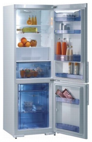 Холодильник Gorenje RK 65325 W фото, Характеристики