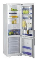 Refrigerator Gorenje RK 65364 W larawan, katangian