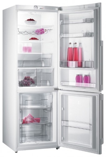 Buzdolabı Gorenje RK 68 SYW fotoğraf, özellikleri